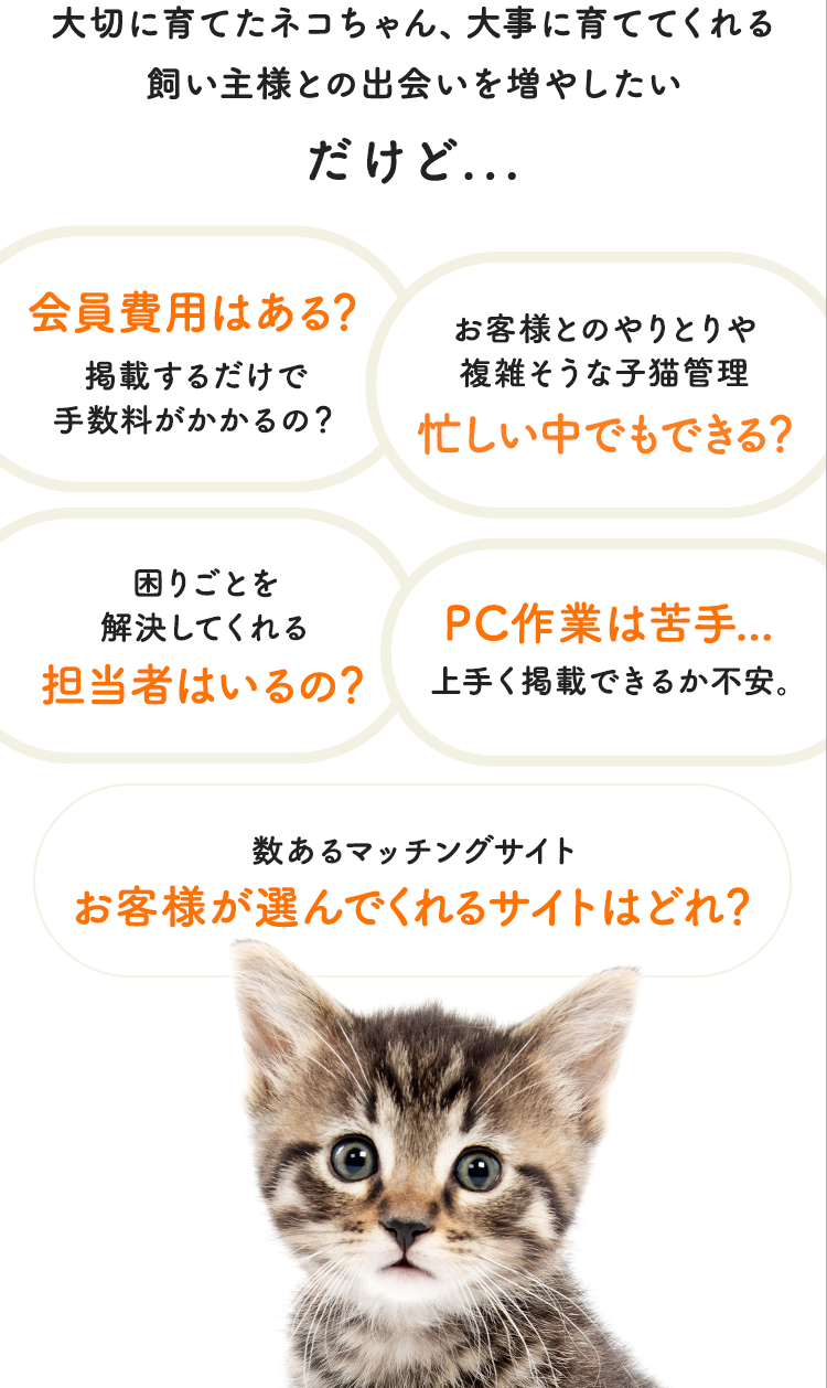 大切に育てたネコちゃん、大事に育ててくれる飼い主様との出会いを増やしたいけど...上手く掲載できるか不安