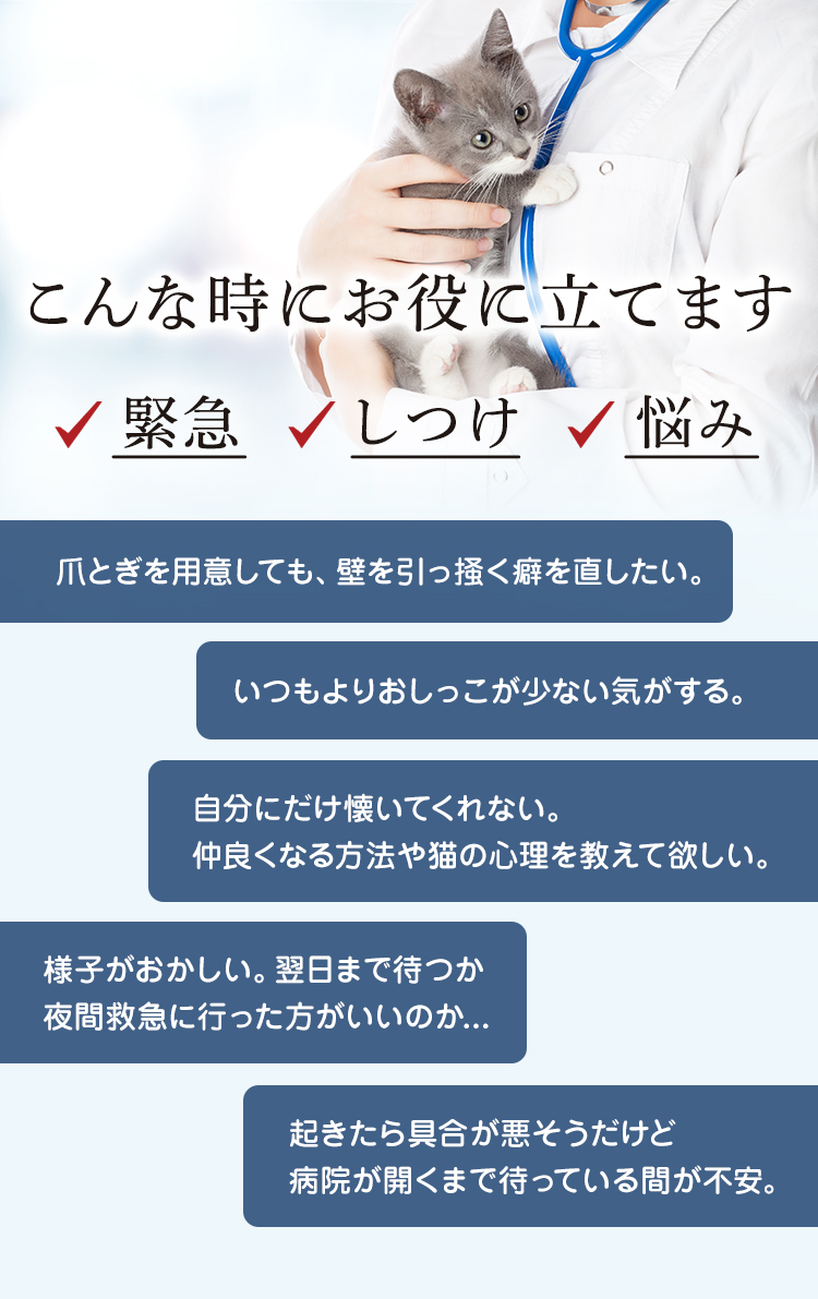 こんな時にお役に立てます 緊急・しつけ・悩み