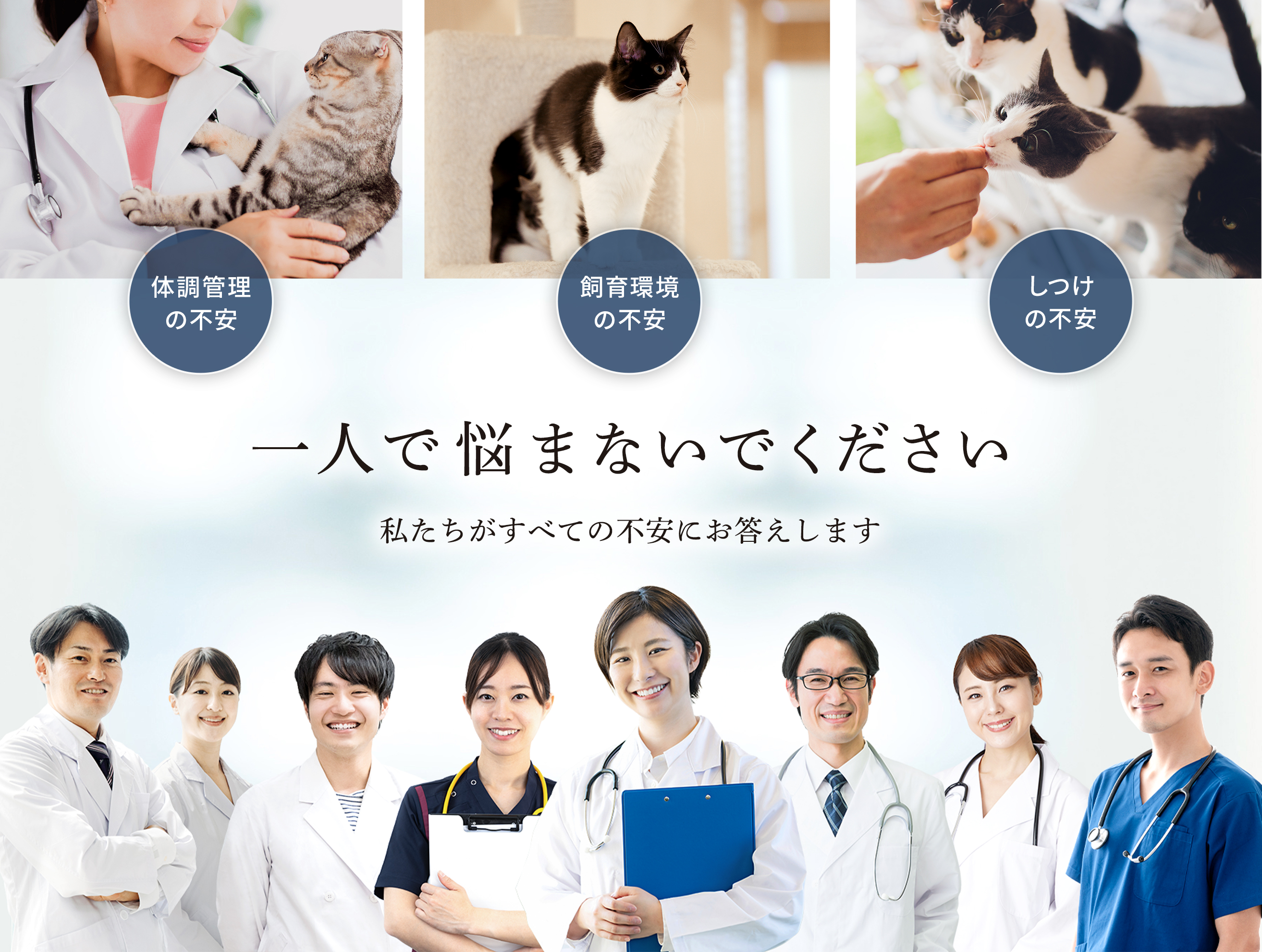 体調管理の不安・飼育環境の不安・しつけの不安 一人で悩まないでください