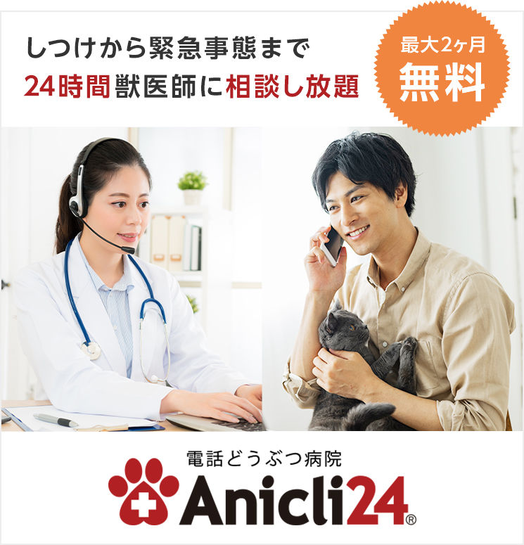 電話どうぶつ病院Anicli24