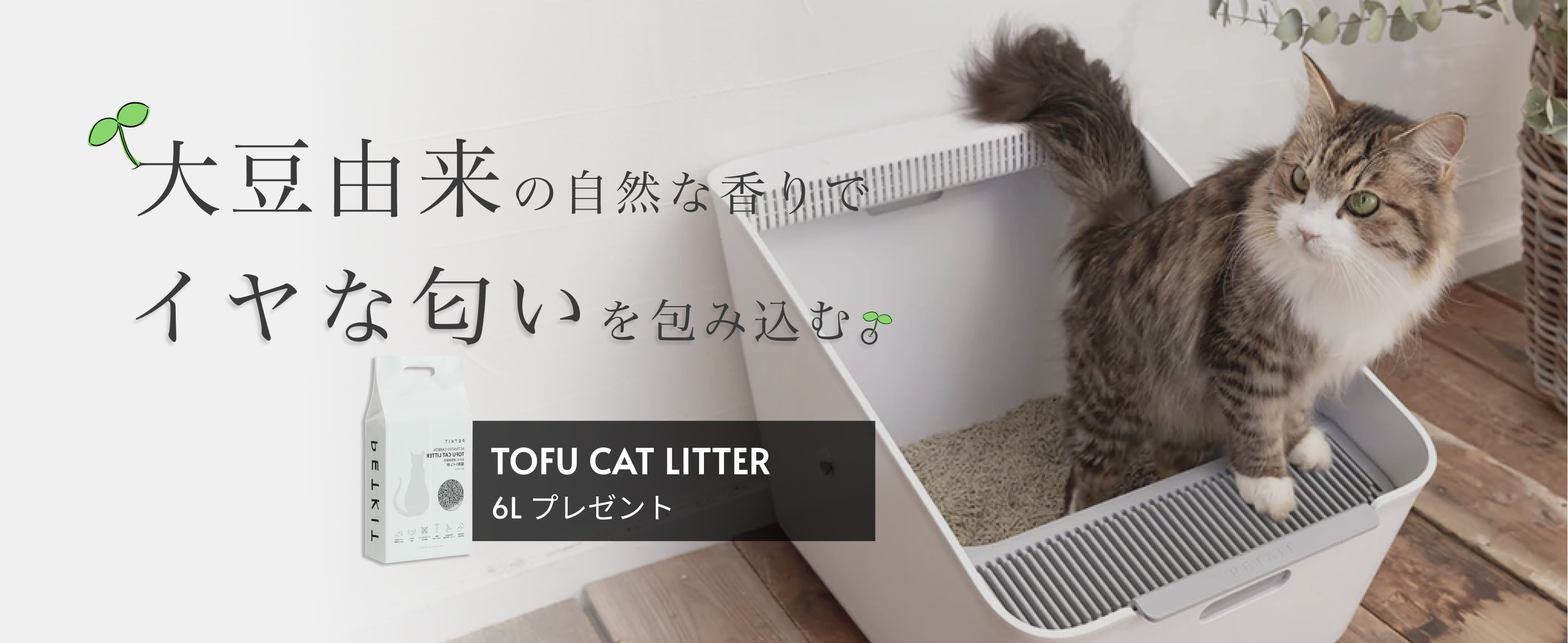 ペットキット
