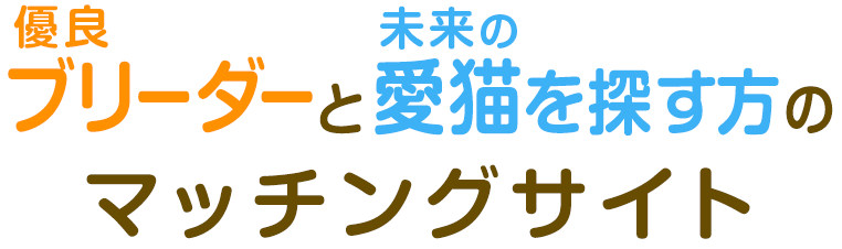 子猫販売なら子猫ブリーダーナビ 優良ブリーダーと出会えるサイト 子猫販売なら子猫ブリーダーナビ 優良ブリーダーと出会えるサイト