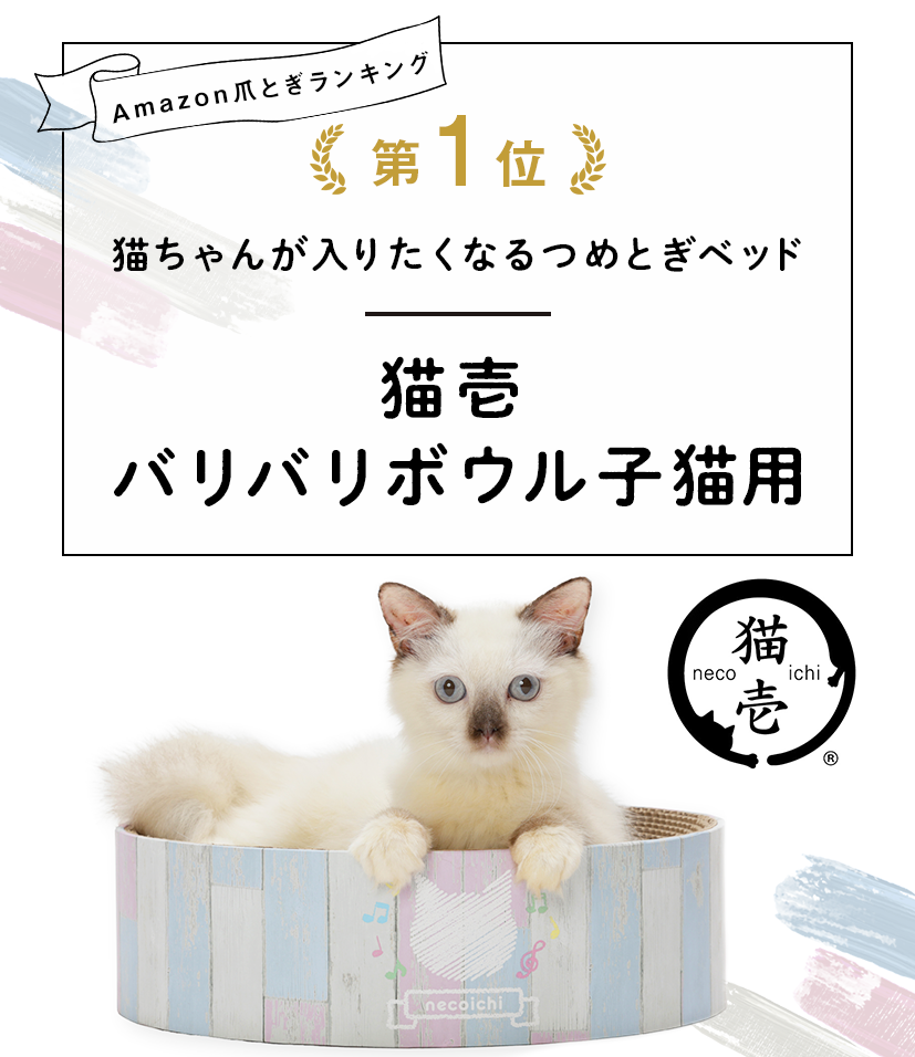 猫壱 バリバリボウル子猫用