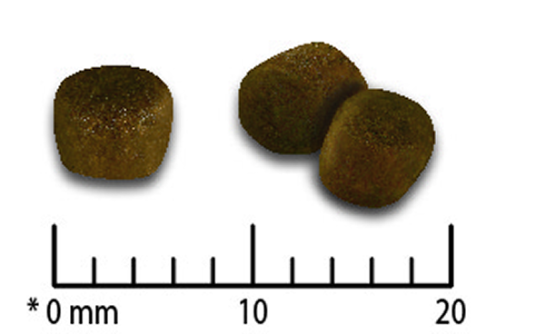 「ピュリナ プロプラン 子猫用 チキン」