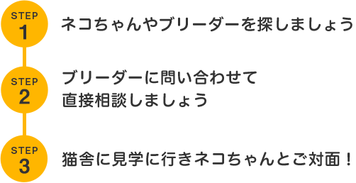 見学までの流れ