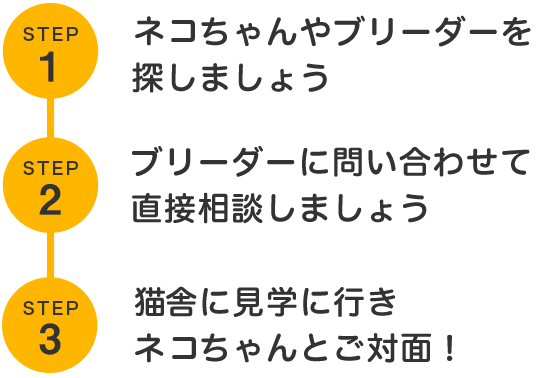 見学までの流れ