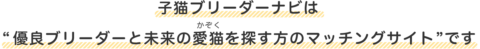 子猫ブリーダーナビは“優良ブリーダーと未来の愛猫を探す方のマッチングサイト”です